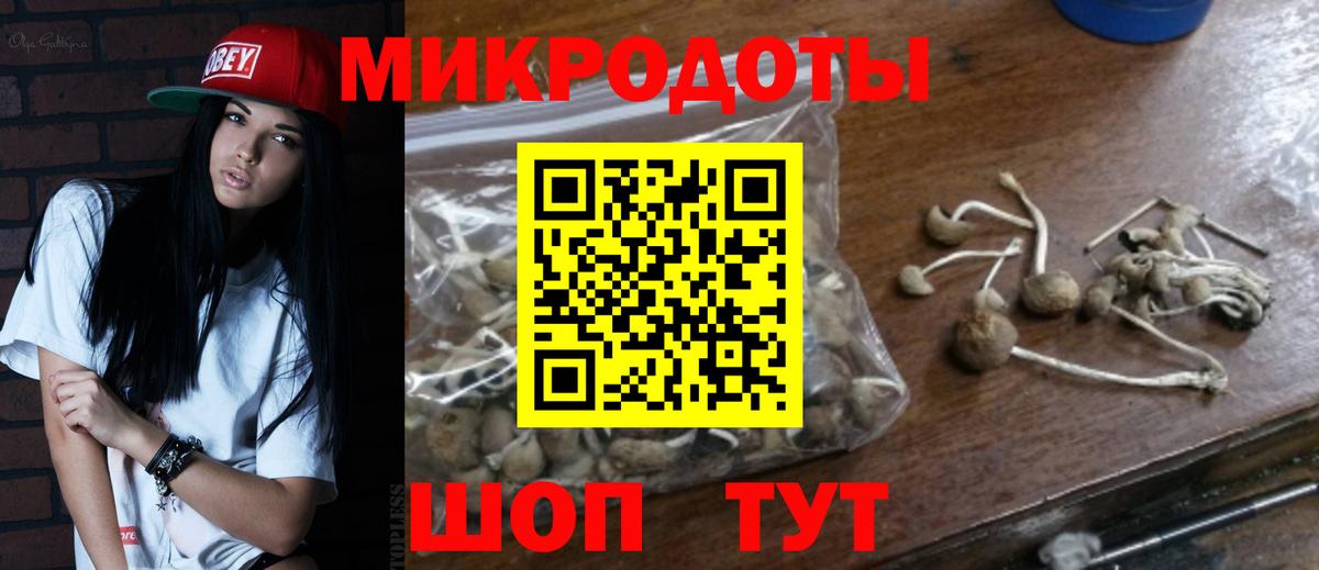 Псилоцибиновые грибы прущие грибы  Вход с VPN  Глазов 